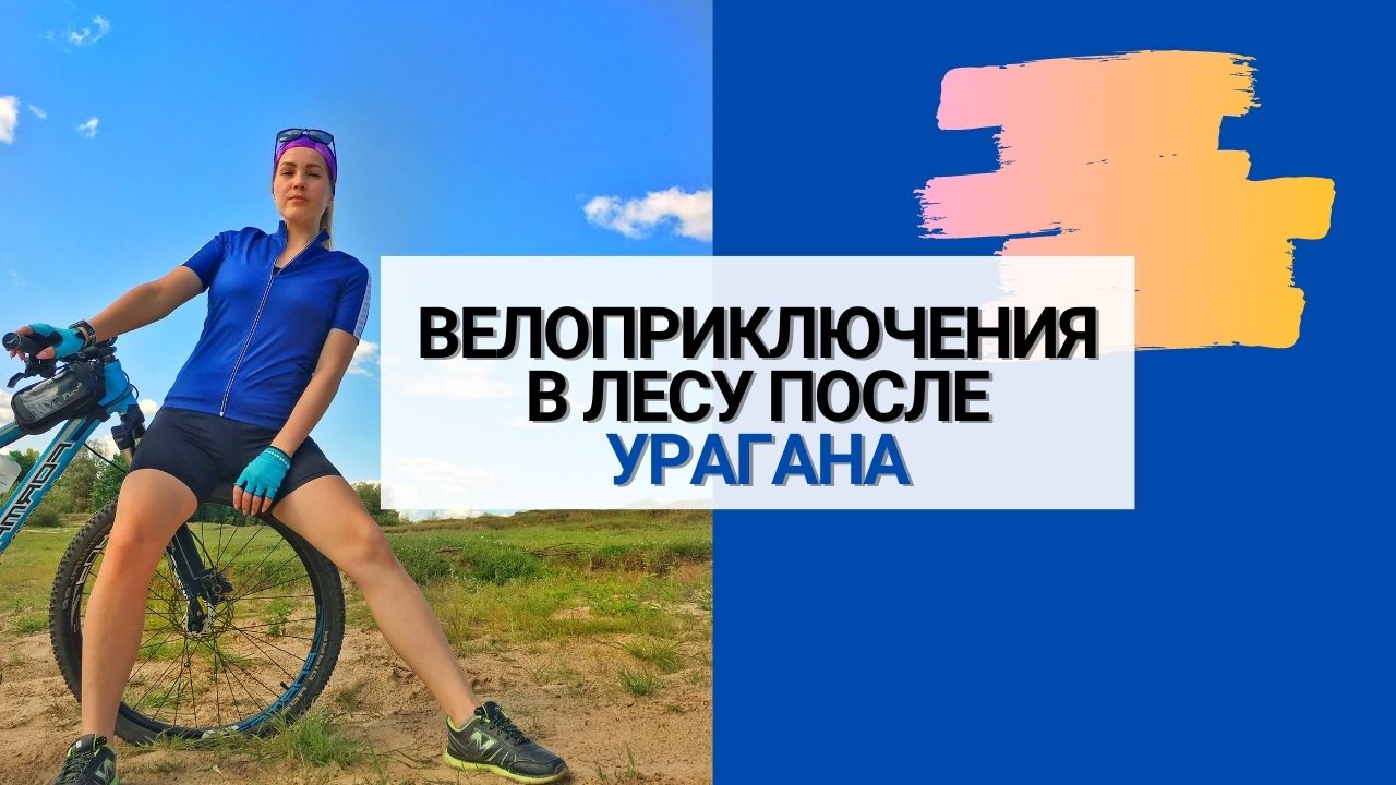 велоприключения в лесу после урагана.укус шершня.mp4 смотреть онлайн