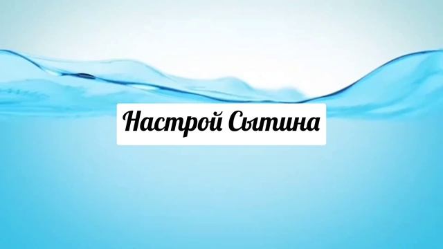Настрой Сытина. Память, Внимание, Радость жизни. смотреть онлайн