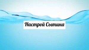 Настрой Сытина. Память, Внимание, Радость жизни.