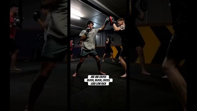 Extended exchange || Vector MMA #fitness #boxing #mixedmartialarts #mma #kickboxing