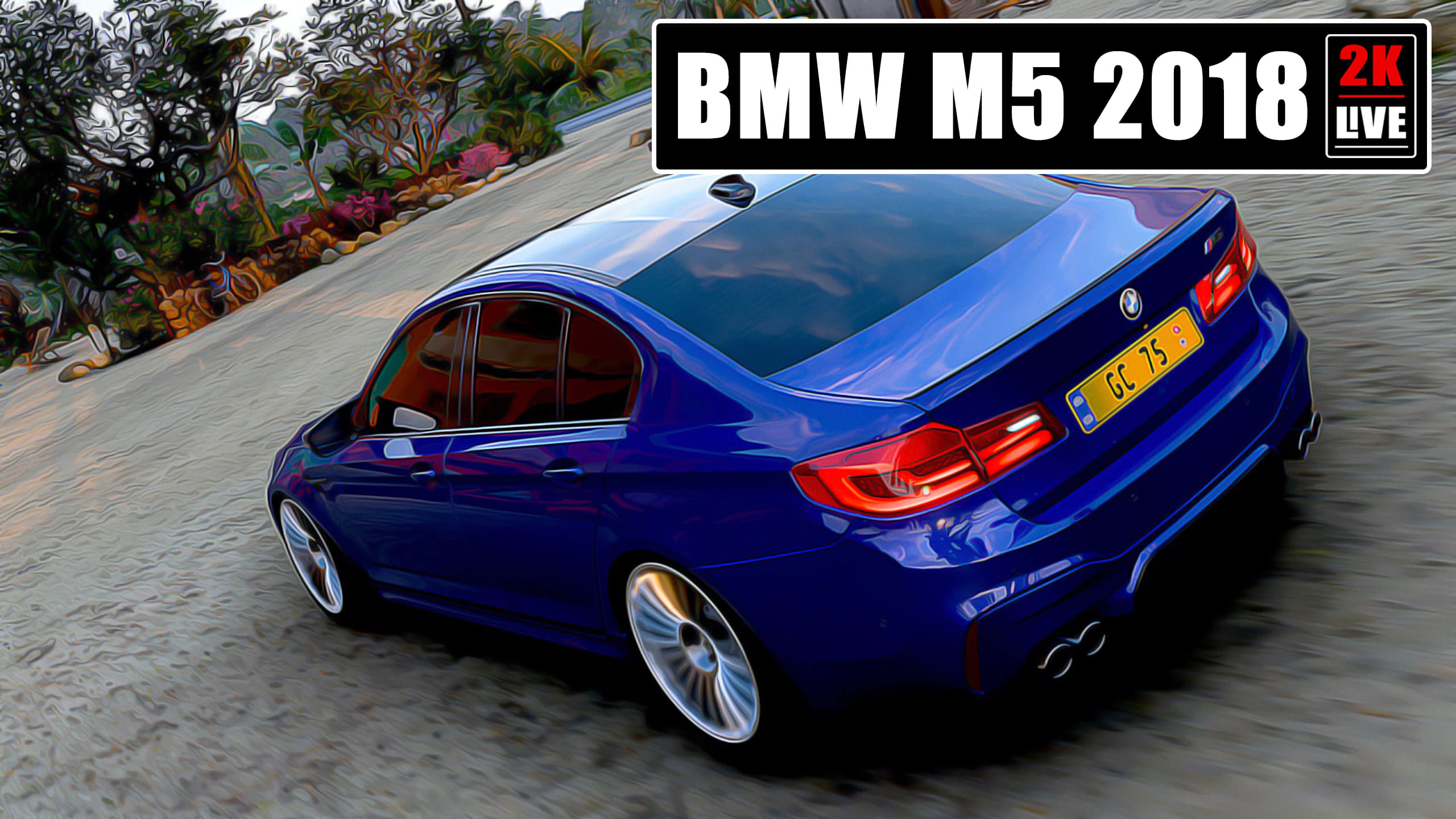 BMW M5 2018 - Forza Horizon 5 | Thrustmaster GT gameplay