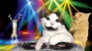 VID-20230527-WA0001.mp4