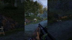 Баг в Far Cry 4 - Дикий носорог