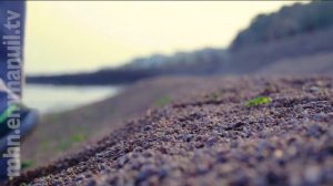 ПОПУЛЯРНОГО КИТАЙСКОГО МУЗЫКАНТА БОГ УДЕРЖАЛ ОТ САМОУБИЙСТВА