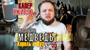 Разбор кавер песни Медведь на гитаре аккорды