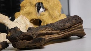 Нано аквариум для начинающих