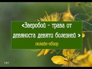 Онлайн-обзор «Зверобой — трава от девяноста девяти болезней»