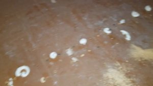 БЮДЖЕТНЫЙ РЕМОНТ ПОЛА \ ПОЛ БОЛЬШЕ НЕ СКРИПИТ