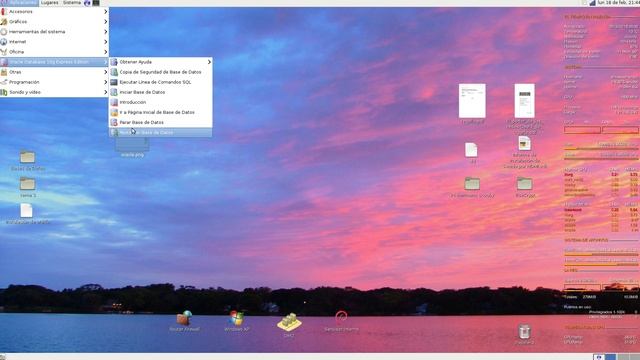 Oracle 10G Express Edition - Debian 6.0 Squeeze смотреть онлайн
