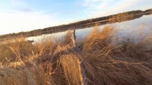 Охота на уток! Открытие осень 2021! Якутия! Duck Hunting Yakutia! FULL HD!