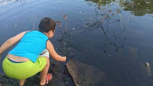 Выпускаем карасей