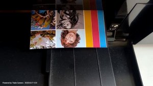 Epson l805 печать в стандартном качестве