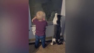 Самые Милые и Забавные Моменты, Снятые На Видео!.mp4