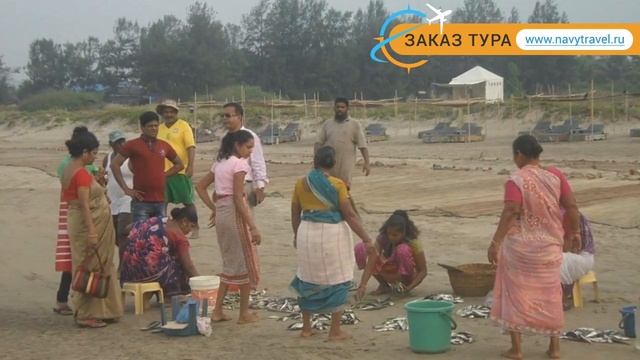 MORJIM HERMITAGE 2* Индия Север Гоа отзывы – отель ЛИВИНЬО ЭРИМТАЖ 2* Север Гоа отзывы видео смотреть онлайн