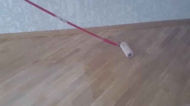 Лакировка паркета Баку
