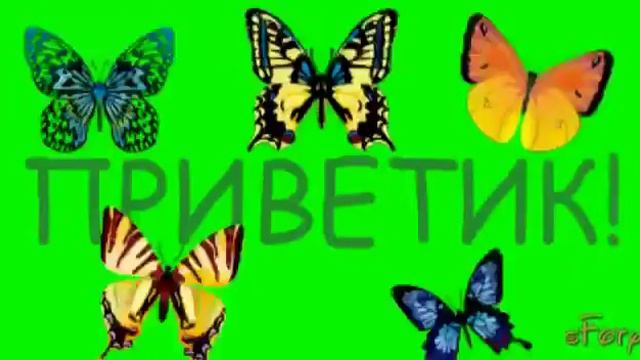 Улыбнись новому дню! смотреть онлайн