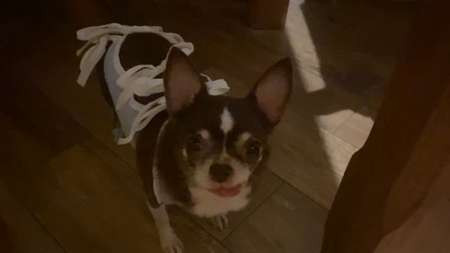 Видеожалоба смотреть онлайн