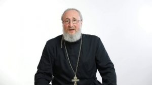Михаил Ципис о Кураеве, Ткачеве, Охлобыстине, Познере и других