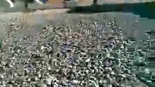 Как размножаются камни смотреть онлайн