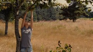 СЕРГЕЙ МАЕВСКИЙ - САМА ЛЮБОВЬ