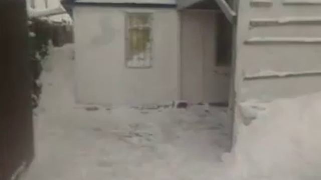 ТОЛЬЯТТИ ДАЧА 79 25.12.2016. смотреть онлайн