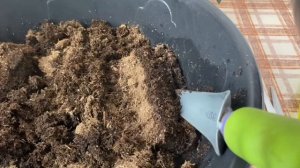 Готовлю грунт для рассады