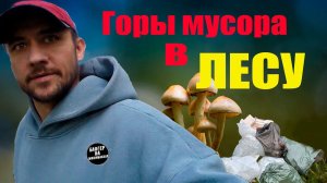 ГРИБЫ | ГОРЫ МУСОРА В ЛЕСУ | блогер на минималках