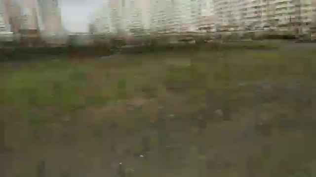 Темповый бег по пересечённой местности ??♀️? смотреть онлайн