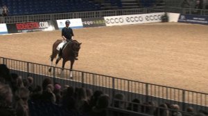 Danish Warmblood Young Horse Championship 2014 - Carl Hester testing Lady Gaga