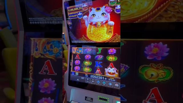 $205,000 GRAND JACKPOT MEOW MEOW MADNESS @WindCreekCasinos