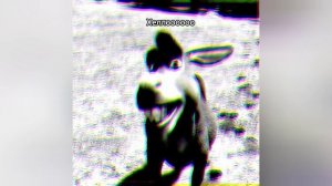 везухааа!
за это ставьте лайк и подписывайтесь.