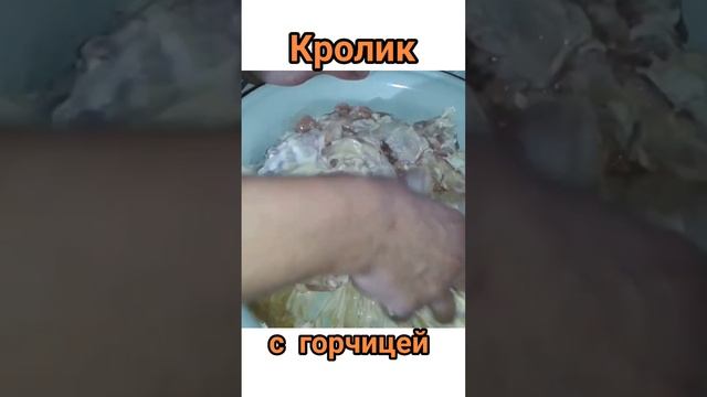 Кролик в духовке #food #кроликвдуховке #кроликвсметане