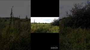 покатушки на муравье с двигателем лифан 7 лс