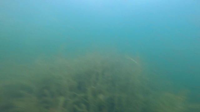 Константиновский карьер в августе смотреть онлайн