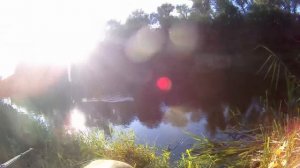 Рыбалка на ПОПЛАВОК в СОЛНЦЕПЁК. Крупная плотва голавль на Поплавок!