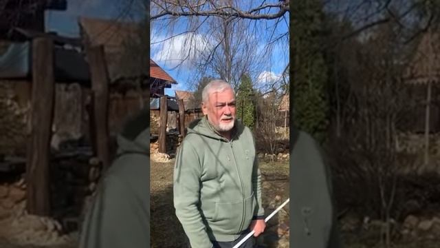 Лучшие сторис Вика Цыганова (@vika.tsyganova) подборка ? от Undelete News за 19.03.2020 смотреть онлайн