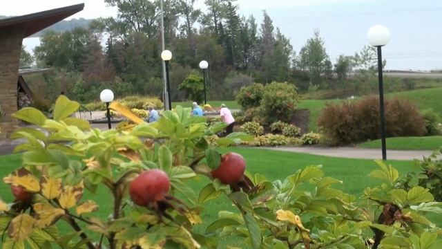 Восточная Канада, Нова Скотиа, Кейп Бретон, Ньюфаундленд смотреть онлайн