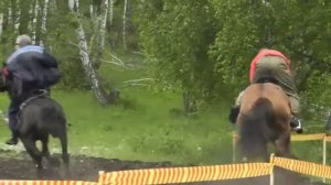 Во хмелю слегка лесом правил я Клип В Высоцкий