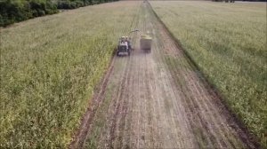 Уборка кукурузы на силос