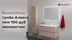 Тумба Алвита New 100 см  цвет дуб веллингтон белый