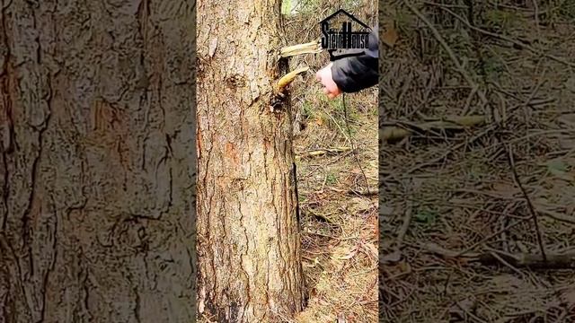 #Проверил паракорд с Aliexpress? смотреть онлайн