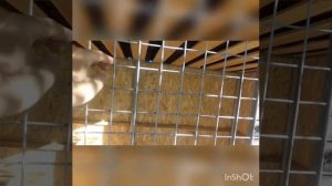 Не дорогой вольер для собаки своими руками