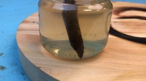 Мало кто знает этот секрет перекиси Как быстро удалить ржавчину с металла