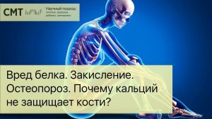 ВРЕД БЕЛКА. Закисление. Остеопороз. Почему кальций не защищает кости?