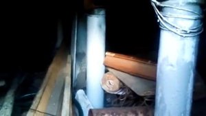 отзыв по шашкам ТАМБЕЙ и ФОМОР-антиплесень. дезинфекция помещений