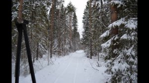 Трактор в деревне необходимость, а лучше и не один