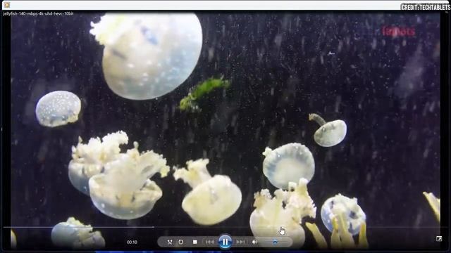 ASUS Zenbook 14X (2023) Overview | The Best Lightweight Productivity Laptop with i7 13th Gen CPU смотреть онлайн