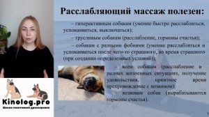 Полезнейший расслабляющий массаж для собак. Часть видео-урока.