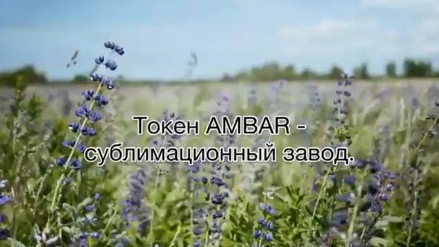 Что такое Район №9