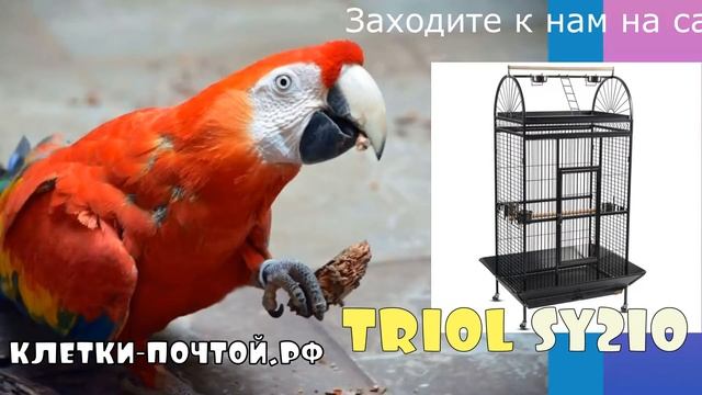 Клетка для крупных попугаев. Триол Sy210 смотреть онлайн
